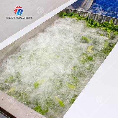 1500KG/H Fruit Vegetable Washing Machine With Stainless Steel Material