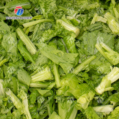 1500KG/H Fruit Vegetable Washing Machine With Stainless Steel Material