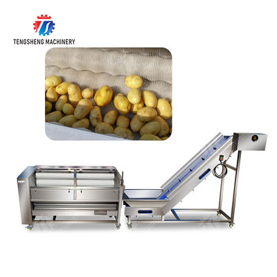 Brush washing and hoisting production line Ginger Potato Carrot Taro Sweet potato Yam processing production Machine