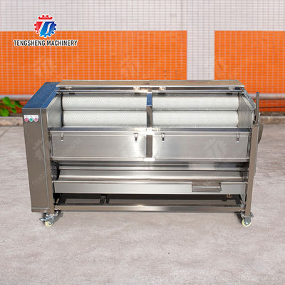 Brush washing and hoisting production line Ginger Potato Carrot Taro Sweet potato Yam processing production Machine