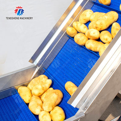 Brush washing and hoisting production line Ginger Potato Carrot Taro Sweet potato Yam processing production Machine