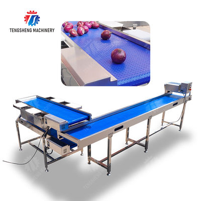Conveyor Production Line Simplified Orange Potato  Onions Ginger Potato Carrot Taro Sweet potato Yam Saiko persimmon papaya horseshoe processing production Grading Transporting Machine