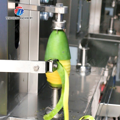 Melon and fruit double-head with single cutter peeling machine papaya chieh-qua pumpkin wax gourd Peeling & polishing processing production