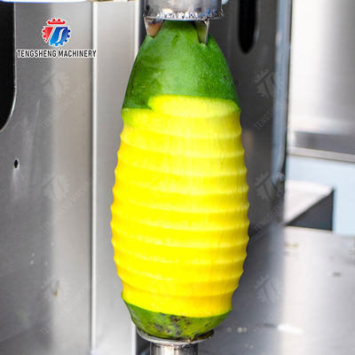 Melon and fruit double-head with single cutter peeling machine papaya chieh-qua pumpkin wax gourd Peeling & polishing processing production