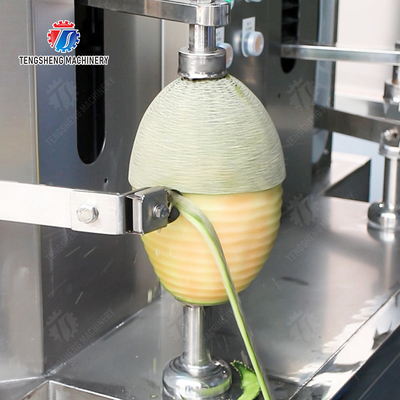 Melon and fruit double-head with single cutter peeling machine papaya chieh-qua pumpkin wax gourd Peeling & polishing processing production