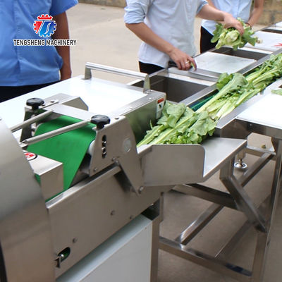 Automatic Vegetable And Fruit Production Line Selection Cutting And Washing Machine