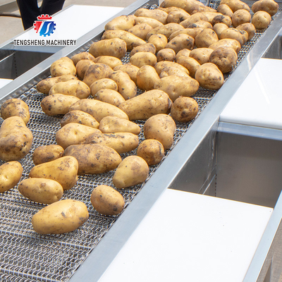 Automatic Vegetable Sorting Machine Selection Table Food Processor