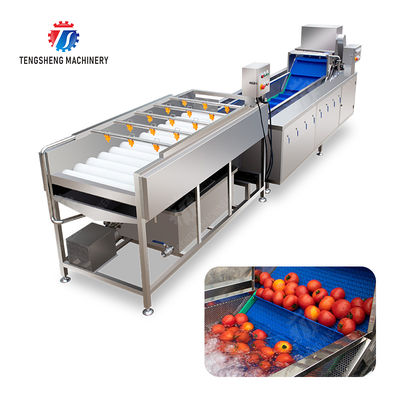 Multifunction Fruit And Vegetable Processing Line Parallel Brush Machine