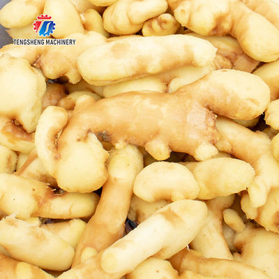 Brush washing and hoisting production line Ginger Potato Carrot Taro Sweet potato Yam processing production Machine