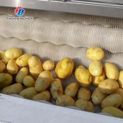 Brush washing and hoisting production line Ginger Potato Carrot Taro Sweet potato Yam processing production Machine