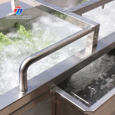 Wash Washer Washing Cleaning Fruit Orange Leaves Vegetables sward beans  soybeans  green beans  chickpeas beans  red beans  mung beans  Vegetables bubble washing processing production machine