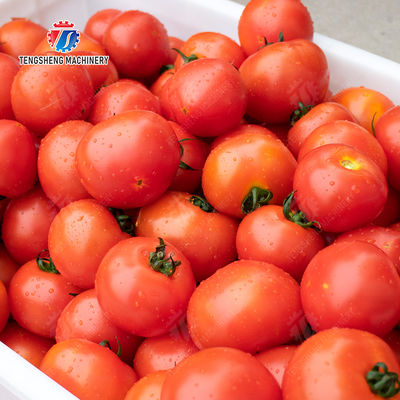 Potatoes and round tuber crops Carrots and longitudinal root vegetables Onions Ginger Carrot Taro Sweet potato Yam Potato Saiko persimmon Parallel Brush Machine Wash Washer Washing Cleaning