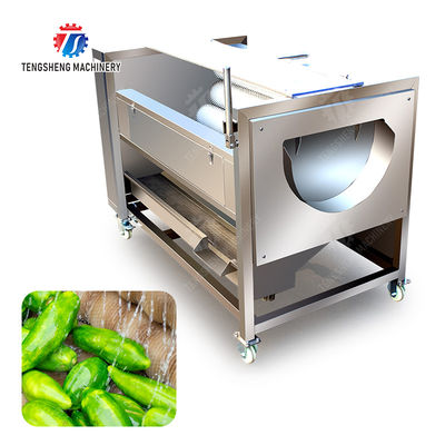 Ginger Potato Carrot Taro Sweet potato Yam Saiko persimmon Papaya Brush cleaning and peeling machine Wash Washer Washing Cleaning Dryer Frozen  processing production Destoning