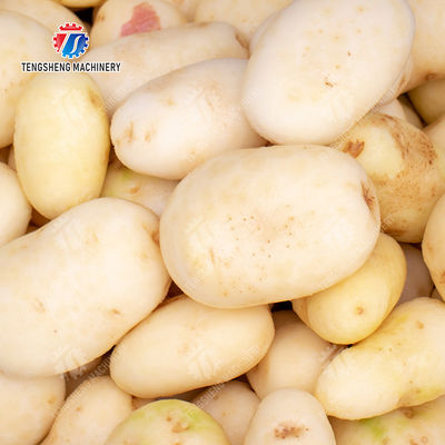 Potatoes and round tuber crops Ginger Potato Carrot Taro Sweet potato Yam Saiko persimmon papaya horseshoe macadamia nut Brush Washing and Peeling