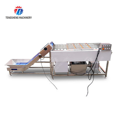 Orange Potato  Onions Ginger Potato Carrot Taro Sweet potato Yam Saiko persimmon papaya horseshoe Simple melon and fruit lifting and brush roller cleaning production line
