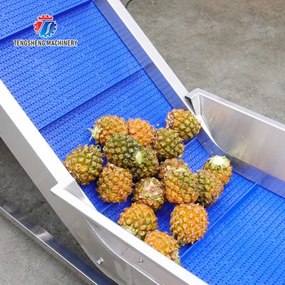 Orange Potato  Onions Ginger Potato Carrot Taro Sweet potato Yam Saiko persimmon papaya horseshoe Simple melon and fruit lifting and brush roller cleaning production line