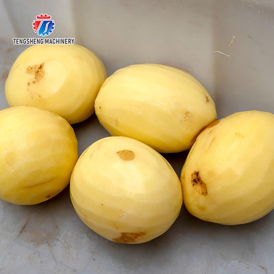 Persimmon peeling machine processing production Supplying Machine