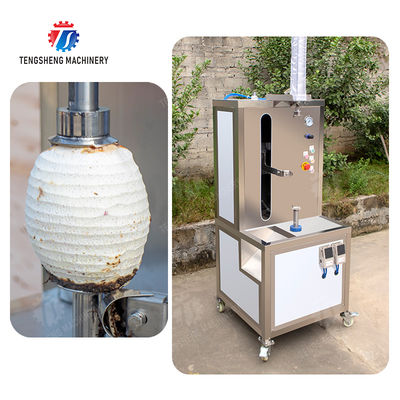 papaya chieh-qua pumpkin wax gourd pineapple Vertical single knife peeling machine watermelon Hami Melon Peeling polishing