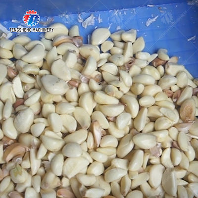 Garlic Peeling processing production Machine minced garlic processing production