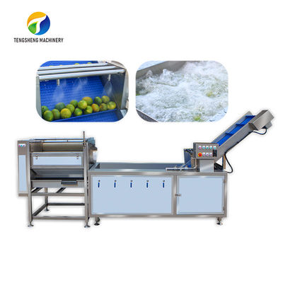 खट्टे डंठल नींबू प्रसंस्करण मशीनरी औद्योगिक एयर बबल ब्रश को खत्म कर दिया