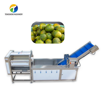 धूल झाड़ू छंटाई फलों का उत्पादन लाइन बुलबुला नियंत्रित अनानास सब्जी सफाई