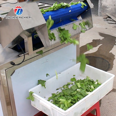 Automatic Vegetable And Fruit Production Line Selection Cutting And Washing Machine